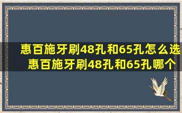 惠百施牙刷48孔和65孔怎么选 惠百施牙刷48孔和65孔哪个头更大